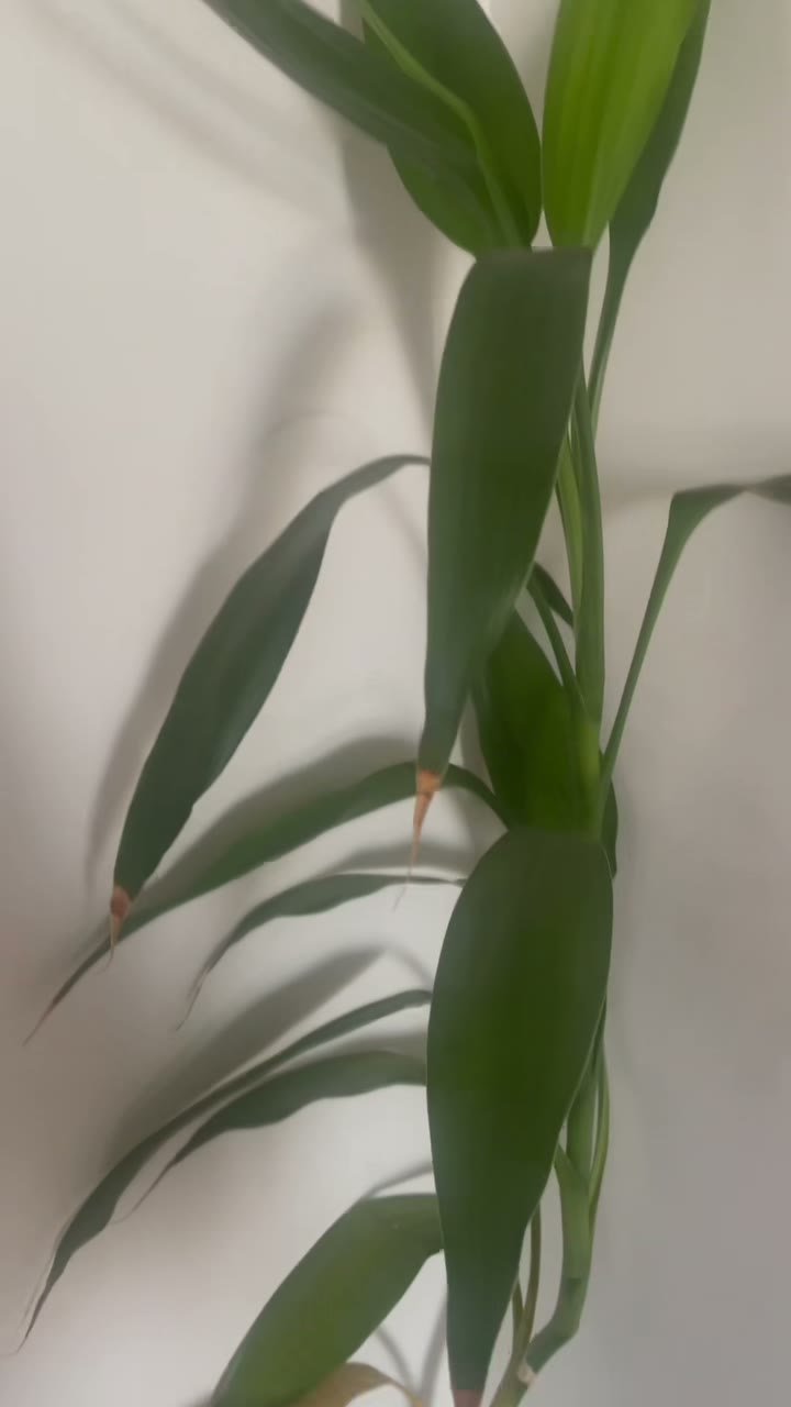 时间去哪了